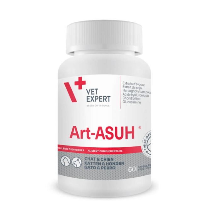 Art-Asuh